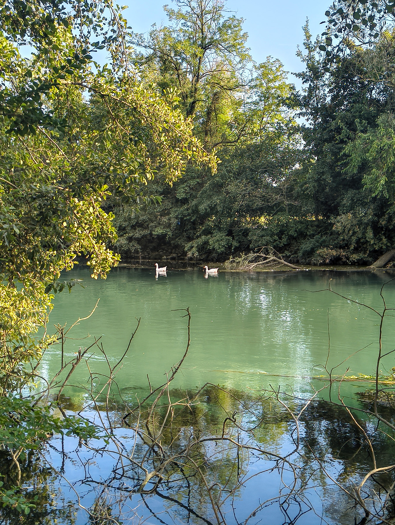 Visita all'Oasi delle Cicogne - Foto 2